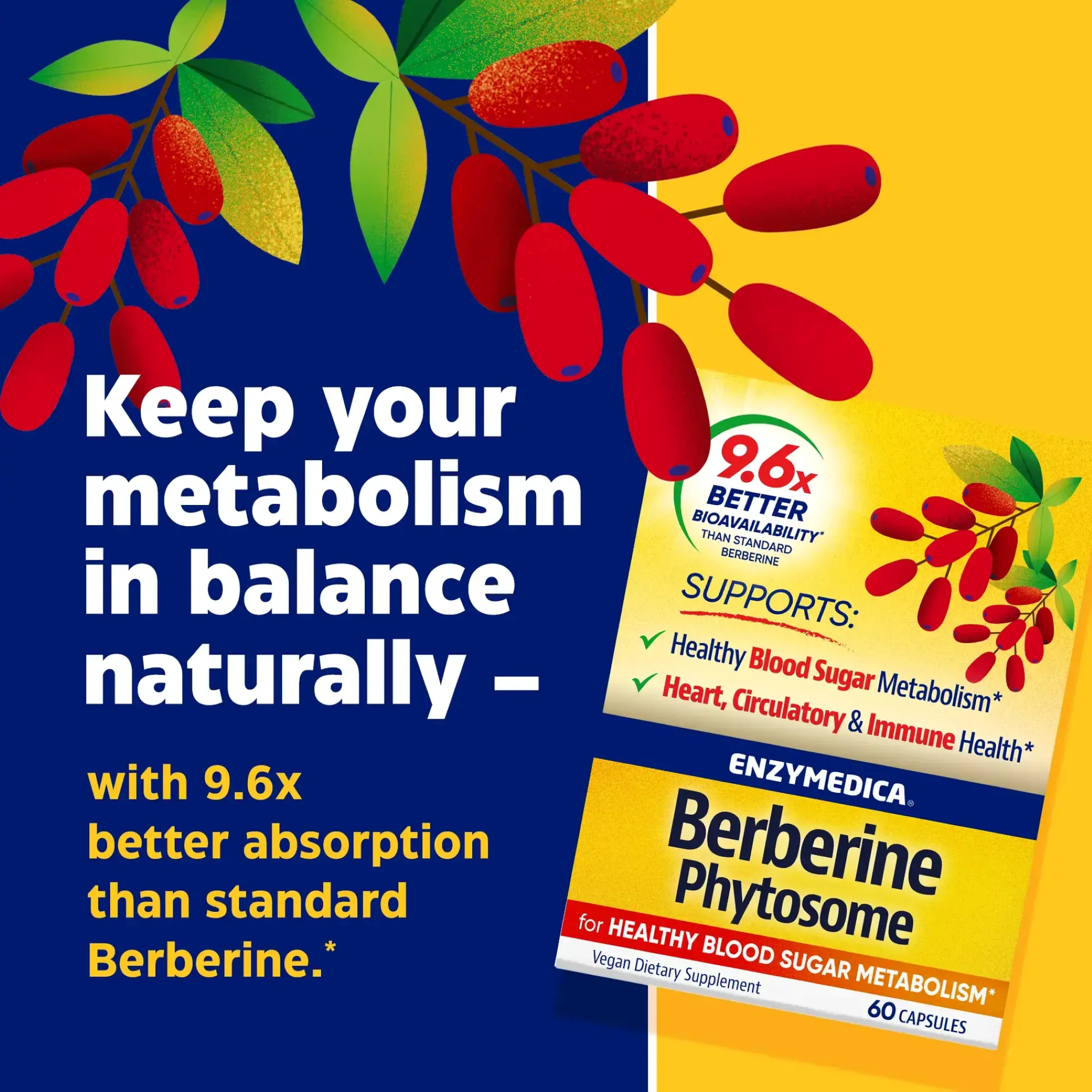 Fitosom de Berberină, Enzymedica, Berberine Phytosome, 60 Capsule
