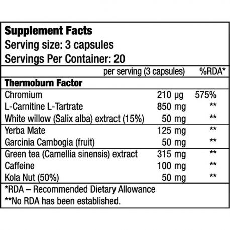 Arzator de Grasimi, BioTechUSA Thermo Drine, 60caps