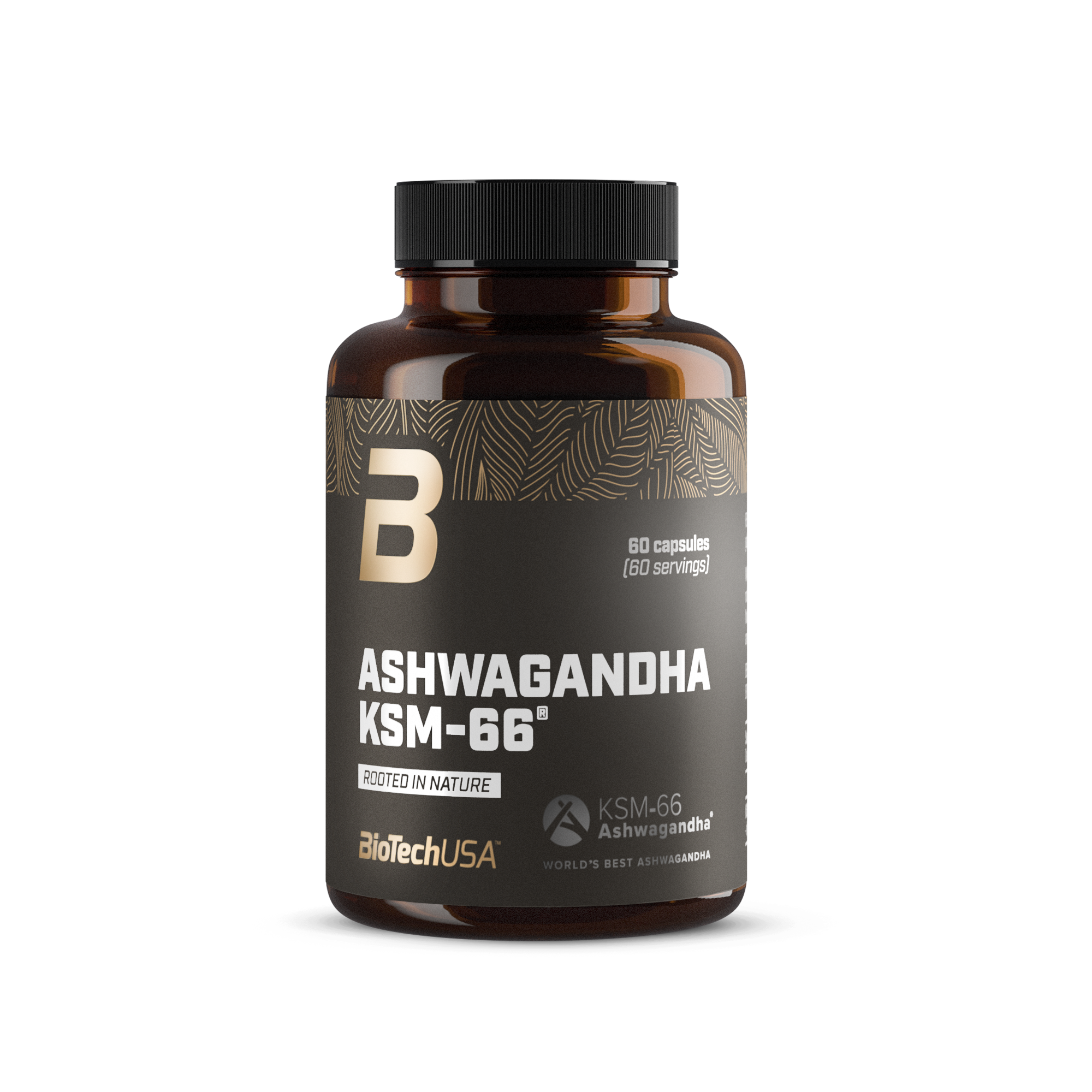KSM66_Ashwa_biotechUSA