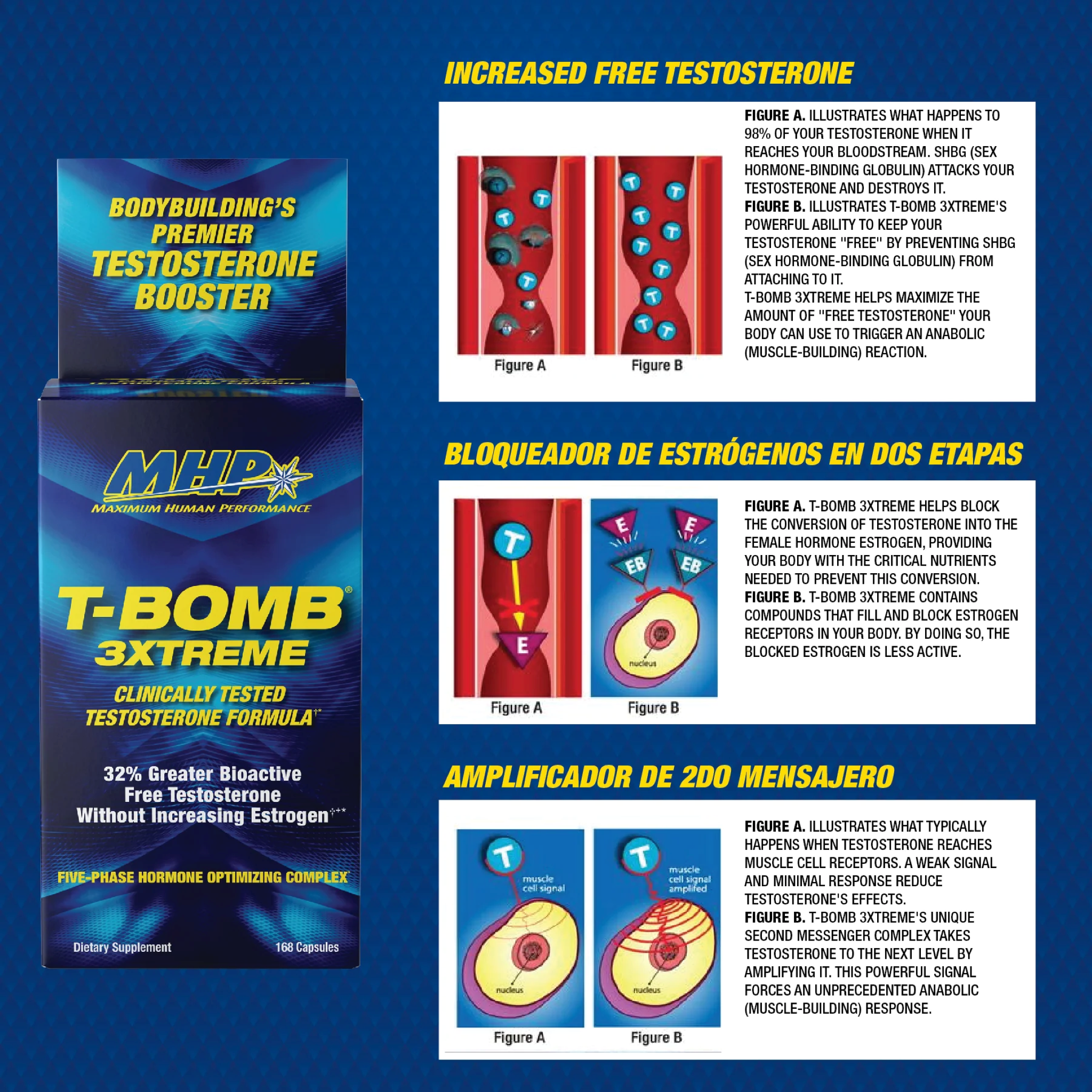 Supliment pentru Susținerea Testosteronului, MHP, T-Bomb 3xtreme, 168 Capsule